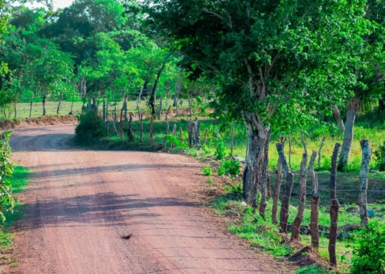 Distrito-de-Matinha-2