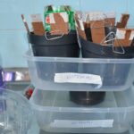 Feira-de-Santana-vai-instalar-ovitrampas-para-combater-o-mosquito-aedes-aegypti