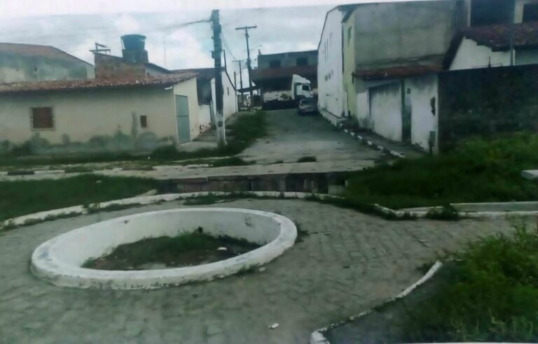 Fonte-Lili-limpeza