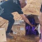 Policia-Civil-incinera-500-quilos-de-drogas-em-Santa-Maria-da-Vitoria