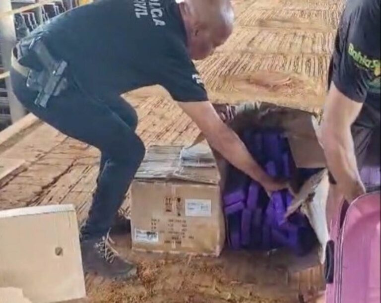 Policia-Civil-incinera-500-quilos-de-drogas-em-Santa-Maria-da-Vitoria