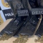 Policia-intercepta-carga-de-drogas-que-abasteceria-a-Micareta-