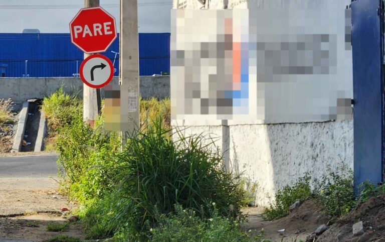 Rua-Ipamerim