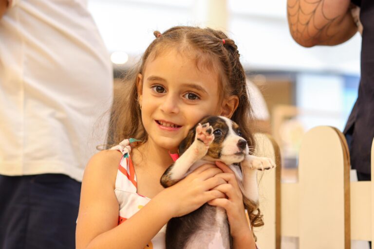 campanha-adocao-animais-foto-divulgacao-3
