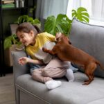 criancas-e-pet