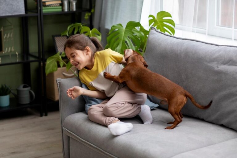 criancas-e-pet
