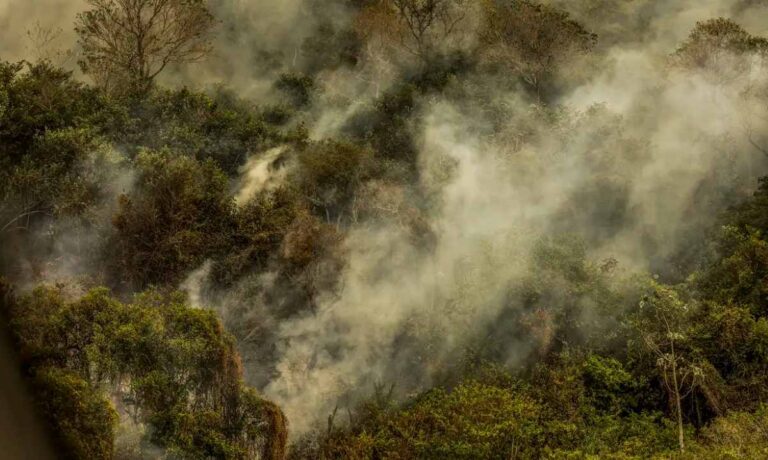 crise-climatica-