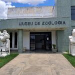 museu-de-zoologia-da-uefs