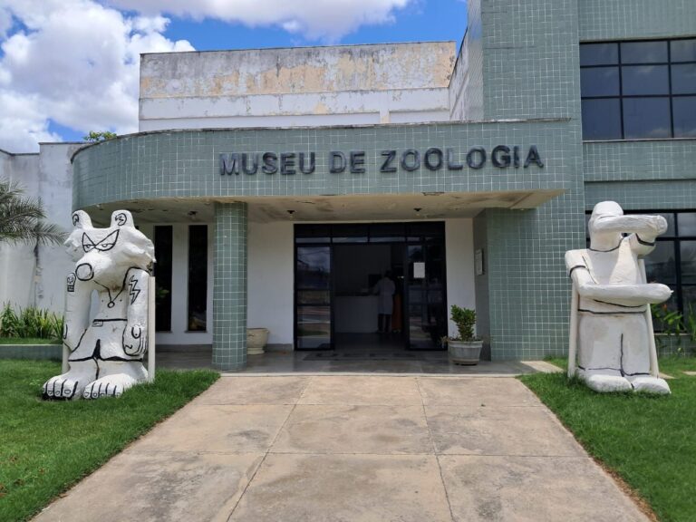 museu-de-zoologia-da-uefs