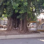 n7n7c3Ol-Praca-Bernardino-Bahia-ft-paulo-jose-acorda-cidade3