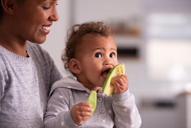 nutrientes-alimentacao-foto-divulgacao-