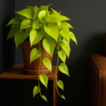 oPfnyjOu-3-truques-para-usar-a-jiboia-neon-na-decoracao-e-surpreender-com-estilo-1