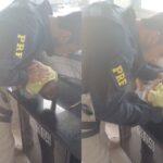 policial-prf-salva-bebe-engasgado-feira-de-santana-foto-reproducao-