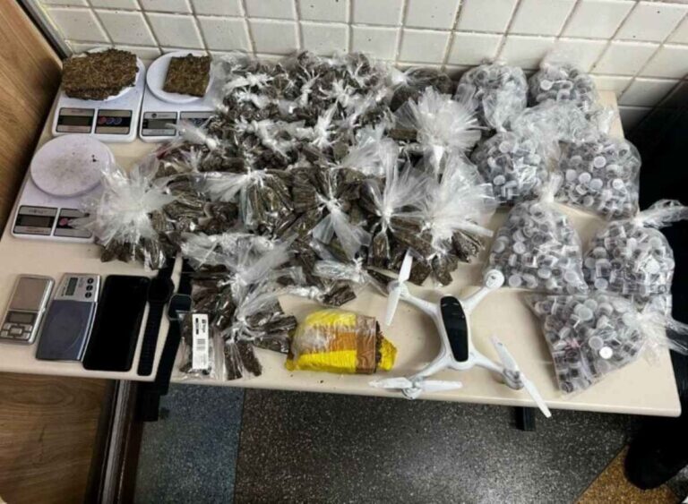 porcoesdemaconha_rondesp_policiamilitar