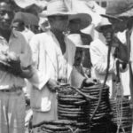 tabaco_foto_arquivo_ibge
