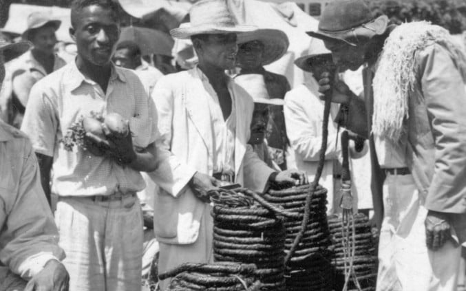 tabaco_foto_arquivo_ibge