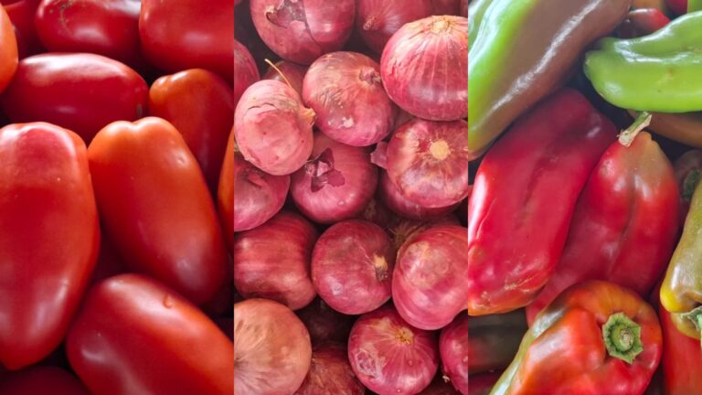 tomate-cebola-pimentao-foto-colagem