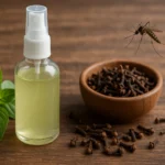 7gjwN7jQ-Repelente-para-o-mosquito-de-dengue-receita-caseira-com-manjericao-e-cravo-para-se-proteger-1