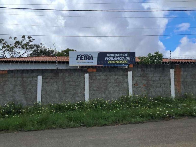 Coordenadora-do-centro-de-Zoonoses-explica-o-que-esta-sendo-feito-para-controlar-raiva-animal-transmitida-por-morcegos