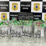 Policia-Civil-intercepta-e-apreende-nova-encomenda-de-lanca-perfume-destinada-a-venda-na-micareta-de-Feira-de-Santana