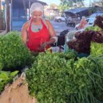 Preco-do-maracuja-tomate-e-hortalicas-sofre-reajuste-na-Feirinha-da-Estacao-Nova1