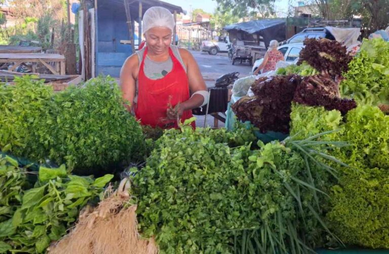 Preco-do-maracuja-tomate-e-hortalicas-sofre-reajuste-na-Feirinha-da-Estacao-Nova1
