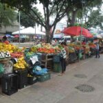 Prefeito-anuncia-licitacao-para-aquisicao-de-novas-barracas-para-feiras-da-Marechal-e-Bernardino-Bahia