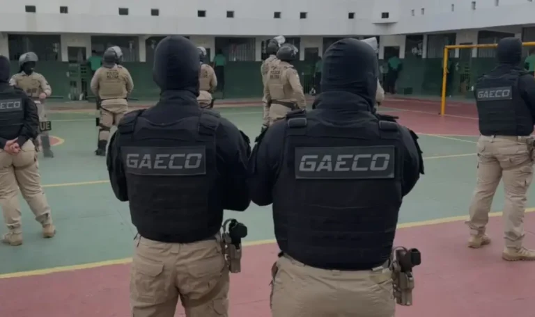 XXJ2fAZW-operacao-conjunto-penac