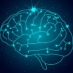 cerebro