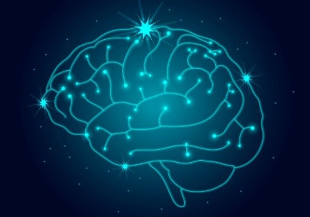 cerebro