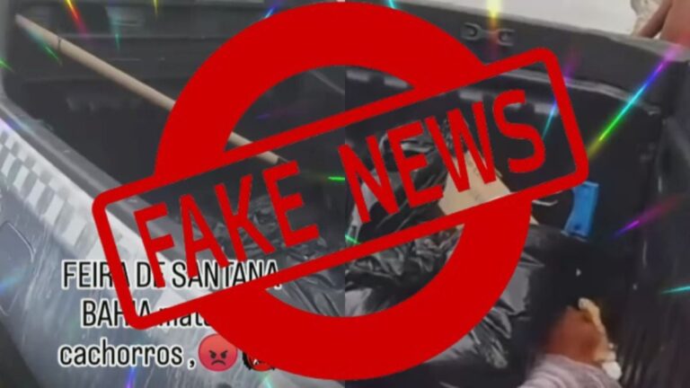 fake-news-video-prefeitura-feira-de-santana-aniamis-de-rua-matando-foto-reproducao-redes-sociais