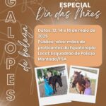 galopes-de-beleza-