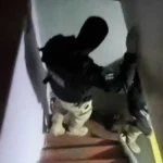 jYD6MCdm-Policia-penal-Eunapolis-