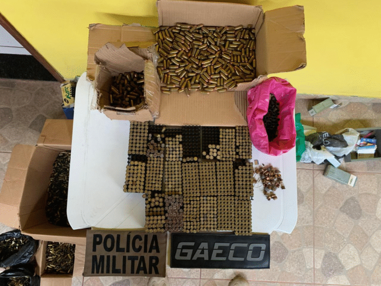 operacao-desarme-foto-reproducao
