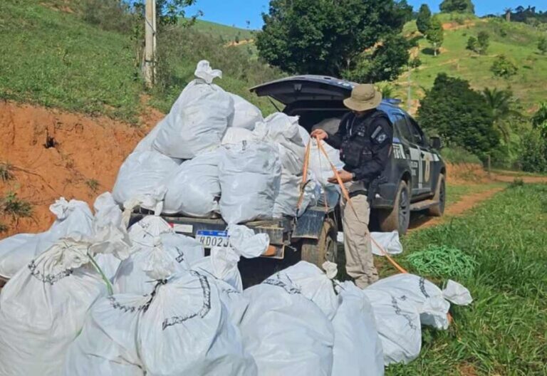 operacao_amordacar_foto_ascom-policiacivil