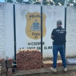 wUALrRYI-Policia-Civil-espadas-