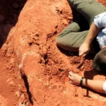 5VbNfGU2-excavation_at_the_buriol_site_3_by_janaina_brand_dillmann-escavacao