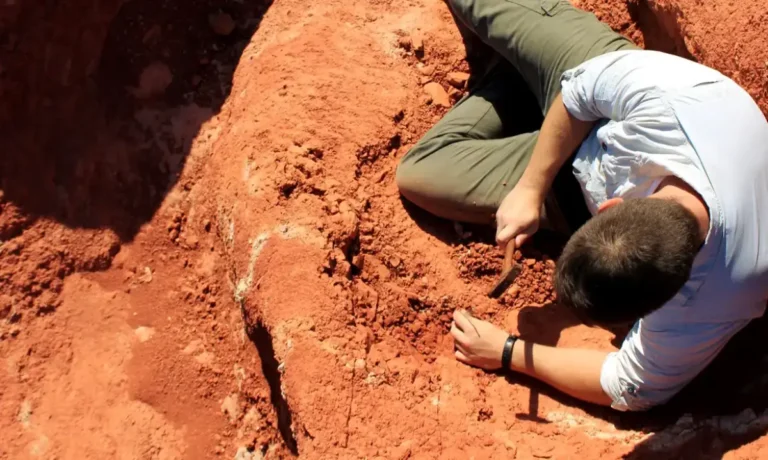5VbNfGU2-excavation_at_the_buriol_site_3_by_janaina_brand_dillmann-escavacao