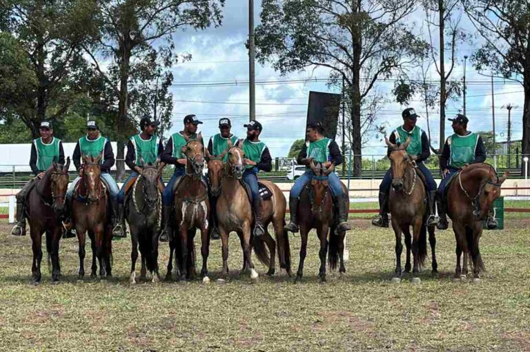 ExpoPortal-Marcha_Brasileira-de-Campolina_foto_daniellycerqueira_secom_feira
