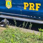 Motociclista-morre-em-acidente-na-Avenida-Eduardo-Froes-da-Mota-7