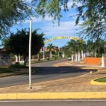 Prefeitura-de-Macaubas-sanciona-lei-para-controle-e-protecao-de-caes-e-gatos-no-municipio