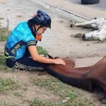 acidentescomcavalos_edsantos_acordacidade-3