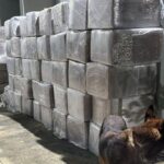 apreensao-de-maconha-na-ba
