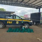 apreensao_prf_drogas_fuzil_foto_prf_