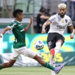 botafogo_foto_vitorsilva-1