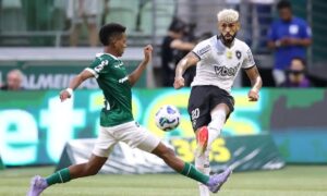 botafogo_foto_vitorsilva-1