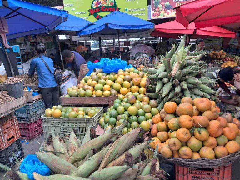 centrodeabastecimento_ceasa_saojoao_foto_neysilva_acordacidade_1