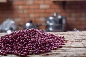 feijao-grao-agricultura-foto-freepik