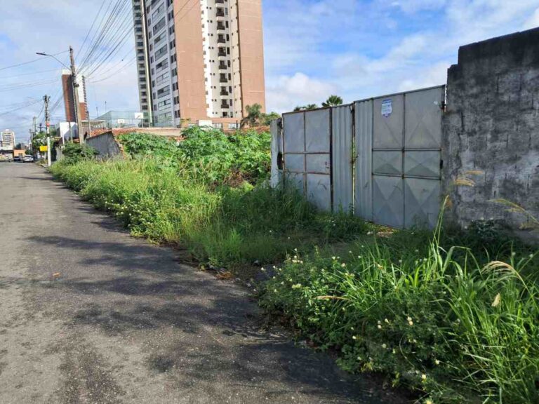 terrenobaldio_neysilva_acordacidade-7