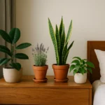 As-melhores-plantas-para-ter-no-quarto-se-voce-quer-dormir-melhor